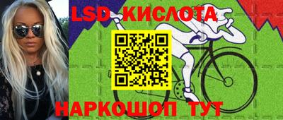 PSILOCYBIN Гудермес