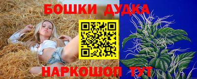 крисы Гулькевичи