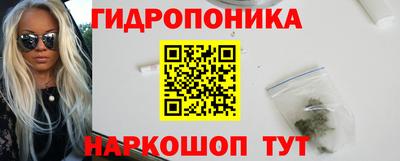 PSILOCYBIN Гудермес