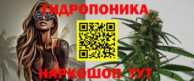 крисы Гулькевичи